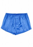 azurblau Herren Shorts Seide - azurblau