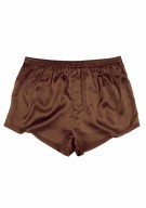 braun Herren Shorts Seide - braun