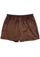 braun Herren Shorts Seide - braun